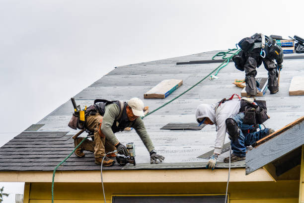 Professional Gutter Installation technician working in Altamont, TN